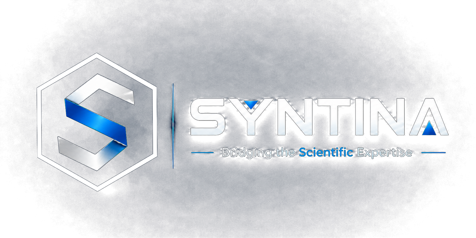 SYNTINA - Bridging The Scientific Expertise